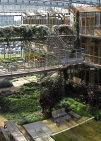 roliro2022002004.jpg